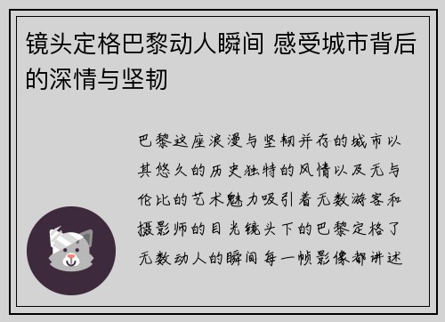 镜头定格巴黎动人瞬间 感受城市背后的深情与坚韧